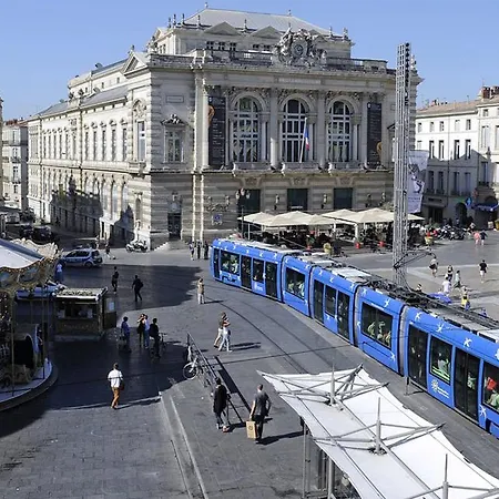 Avenue Professeur Louis Ravas * Montpellier